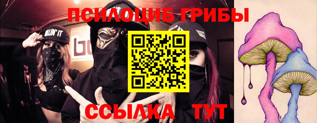 купить наркотики сайты  Вход с VPN  Галлюциногенные грибы Magic Shrooms  Муравленко  Псилоцибиновые грибы MAGIC MUSHROOMS 